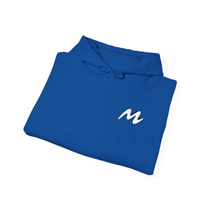 Performance Car Unisex Hoodie - Customizable Streetwear, Gift for Car Lovers, Casual Wear, Birthday Gift, Everyday Comfort